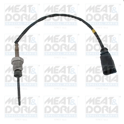 Sensor, exhaust gas temperature